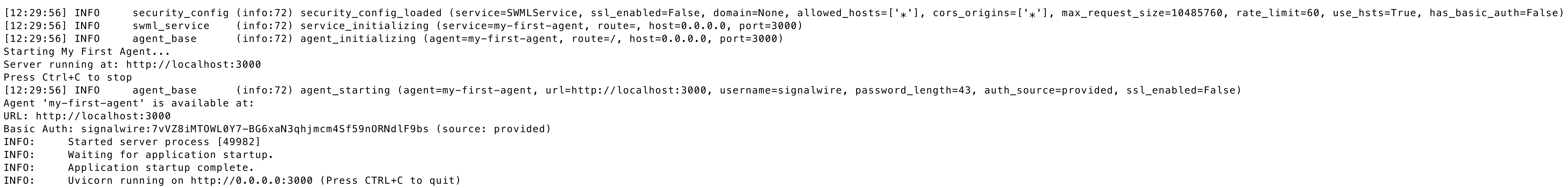 Agent startup output showing security configuration, service initialization, basic auth credentials, and server startup information.